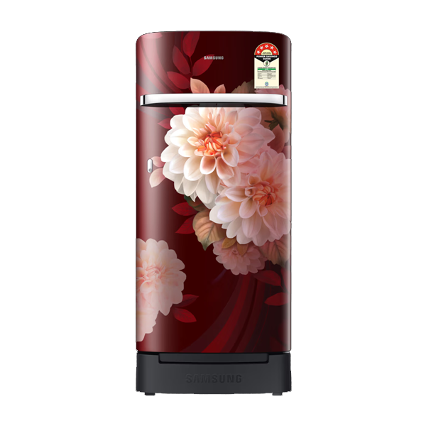 Samsung 189 L Single Door Refrigerator (RR21H2H25BR)