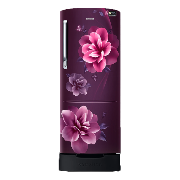 Samsung 223 L Direct Cool Single Door 3 Star Refrigerator (RR24C2823CR)