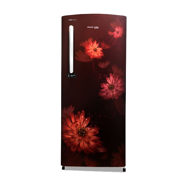 Voltas Beko 210 L Direct Cool Single Door 3 Star Refrigerator (RDC245CW0DWE)