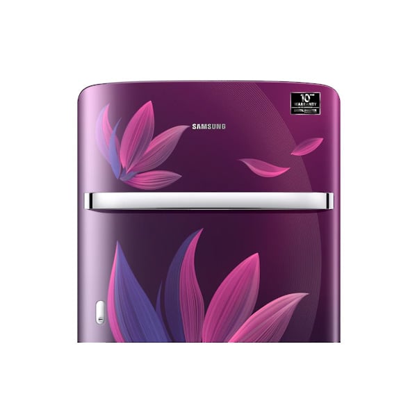 samsung fridge rr21t2g2w9r